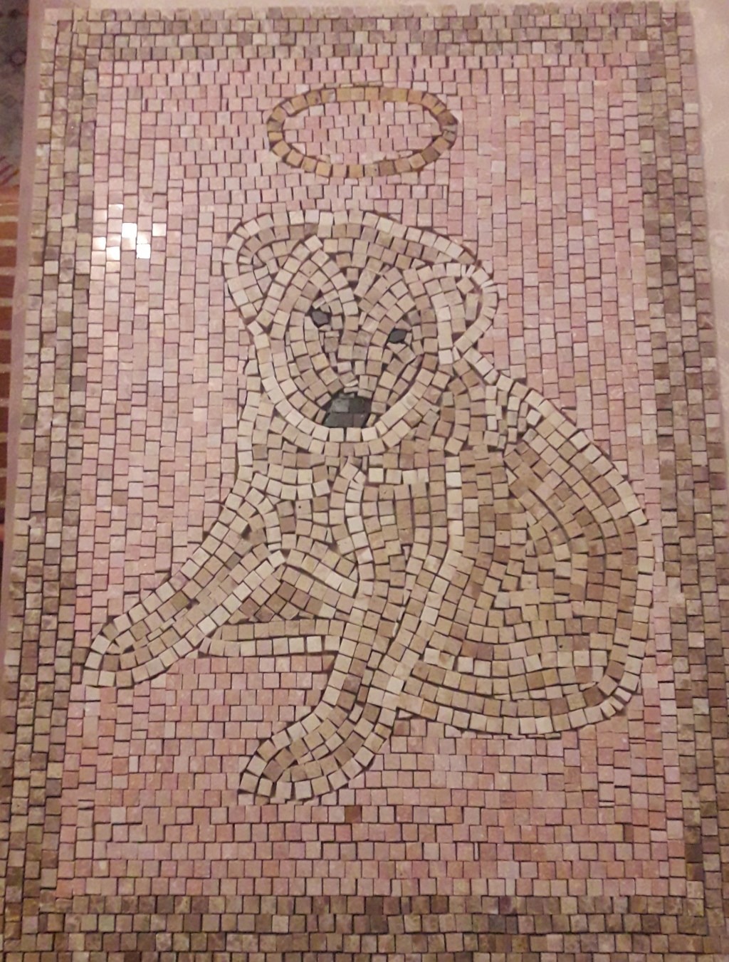 Iyiler Kaybetmez / The Good Does Not Lose